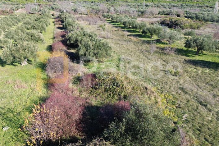 Image No.4-Land for sale