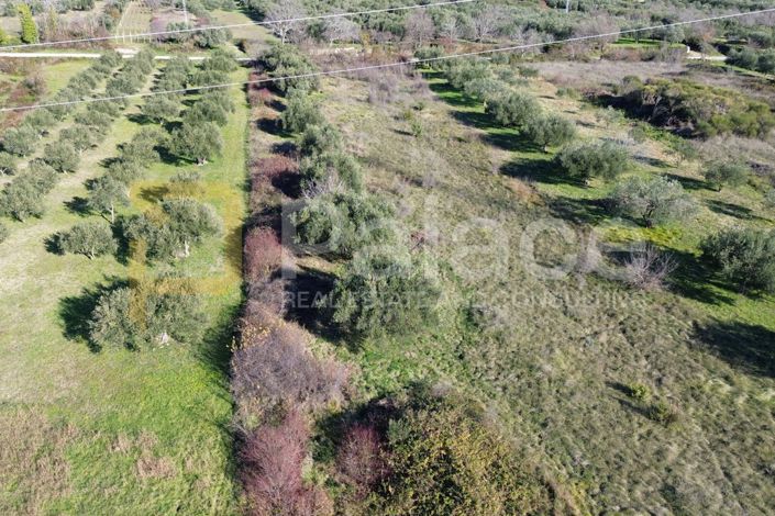 Image No.5-Land for sale