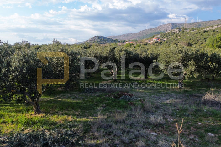 Image No.4-Land for sale