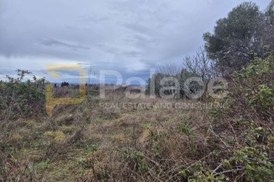 poljoprivredno-zemljiste-murvica_2