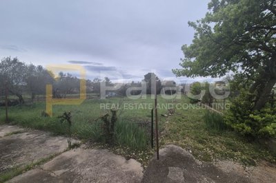 bibinje-gradjevinsko-zemljiste-300-m-od-mora_2