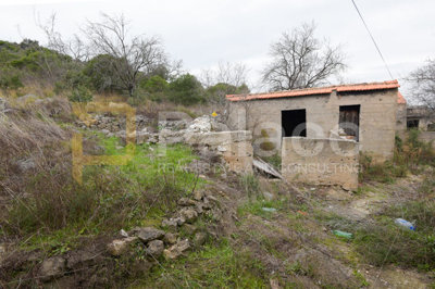povoljno-kuca-za-renovaciju-s-okucnicom-pirovac-kasic-122-m2_12