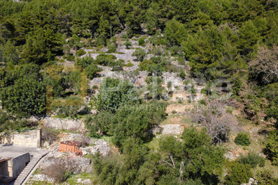 stara-kamena-mlinica-za-obnovu-otok-mljet_7