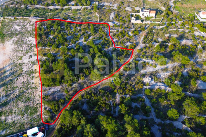 Image No.2-Plot for sale