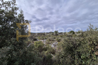 gradjevinsko-zemljiste-bogdanovici-4473-m2_1