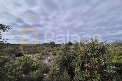 gradjevinsko-zemljiste-bogdanovici-4473-m2_6