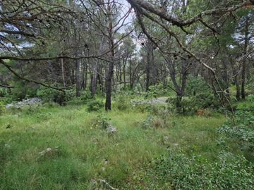 gradjevinsko-zemljiste-u-dubravi-na-lijepoj-lokaciji-1009-m2_2
