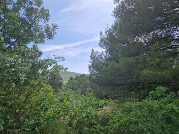 gradjevinsko-zemljiste-u-dubravi-na-lijepoj-lokaciji-1009-m2_3