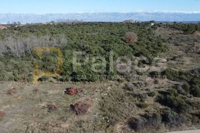 gradjevinsko-zemljiste-ninski-stanovi-3000-m-od-mora_2