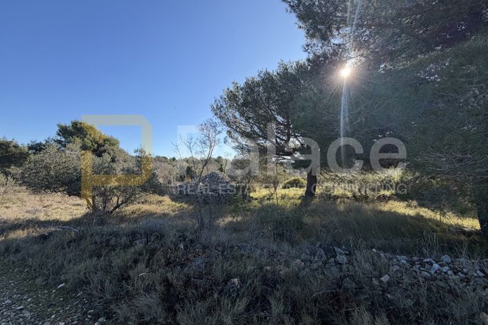 Image No.4-Plot for sale
