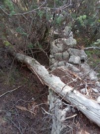 poljoprivredno-zemljiste-u-vrboskoj-hvar-6550-m2_5
