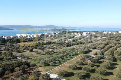 turanj-zemljiste-s-pogledom-na-more-4000-m2_1