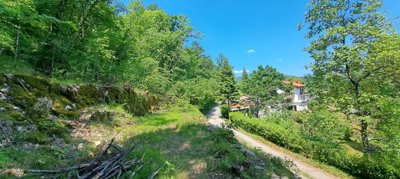 prilika-prostrano-gradjevinsko-zemljiste-5387m2-matulji_5