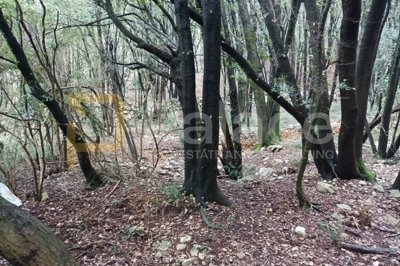 krk-okolica-veliko-poljoprivredno-zemljiste-prodaja_1