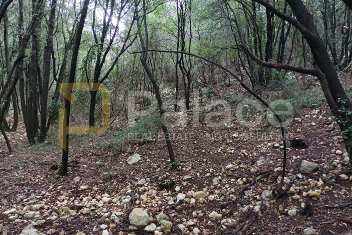 Image No.2-Land for sale