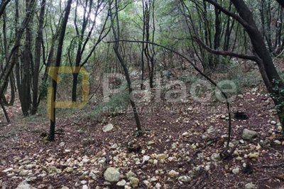 krk-okolica-veliko-poljoprivredno-zemljiste-prodaja_2