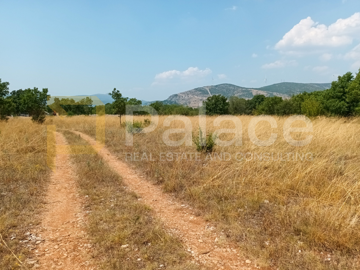 gradjevinsko-zemljiste-prugovo-1000-m2_10