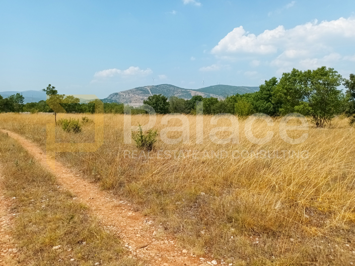 Image No.11-Parcela en venta