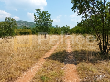 gradjevinsko-zemljiste-prugovo-1000-m2_12