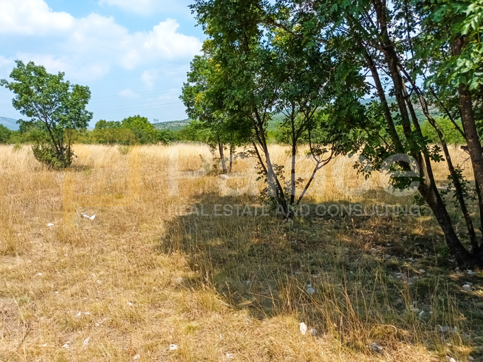 Image No.2-Parcela en venta