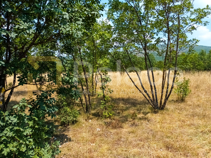 Image No.3-Parcela en venta