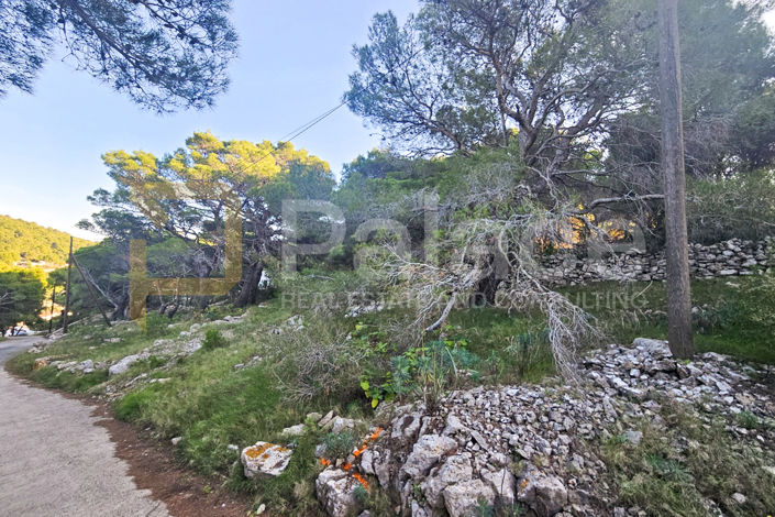 Image No.2-Plot for sale