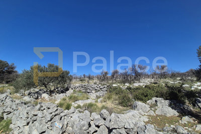 poljoprivredno-zemljiste-u-primostenu-10-201-m2_3