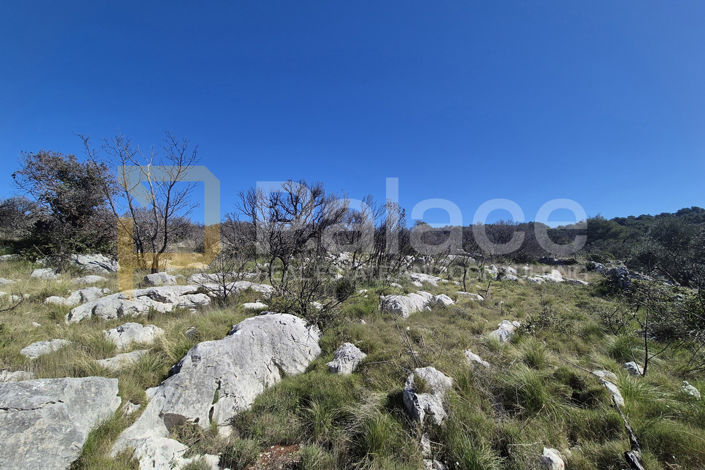 Image No.4-Land for sale