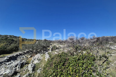 poljoprivredno-zemljiste-u-primostenu-10-201-m2_5