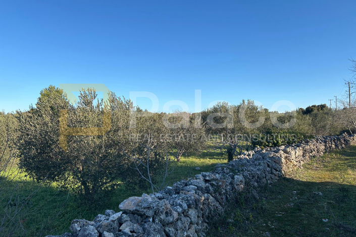 Image No.7-Land for sale