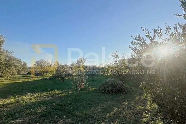 Image No.3-Plot for sale