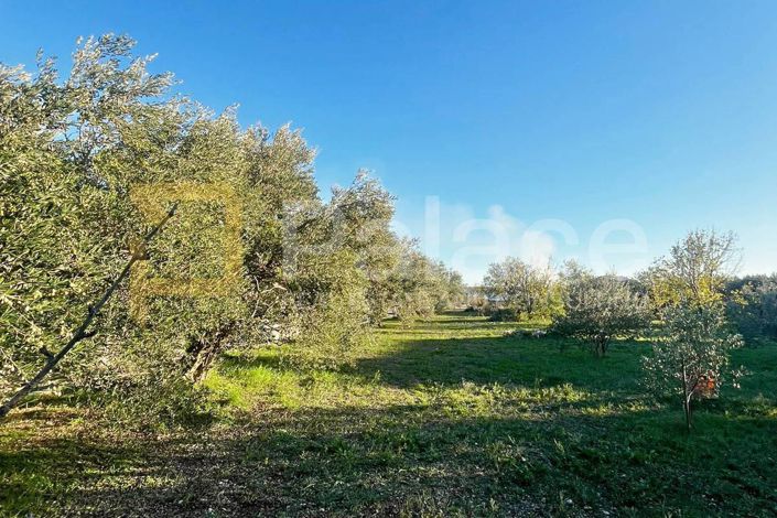 Image No.4-Plot for sale