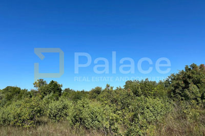 poljoprivredno-zemljiste-u-zaledju-vodica-1376-m2_2