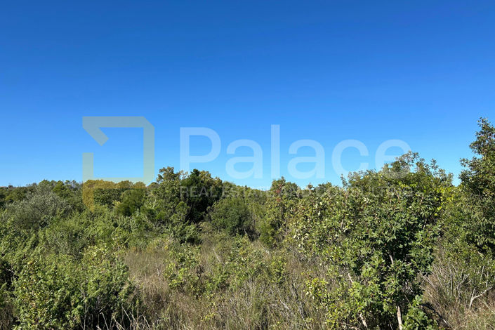 Image No.3-Land for sale