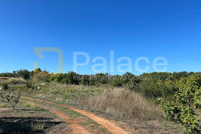 poljoprivredno-zemljiste-u-zaledju-vodica-1376-m2_5