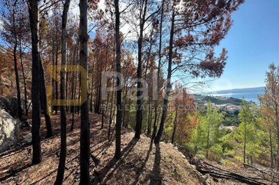 atraktivno-gradjevinsko-zemljiste-jesenice-1161-m2_4
