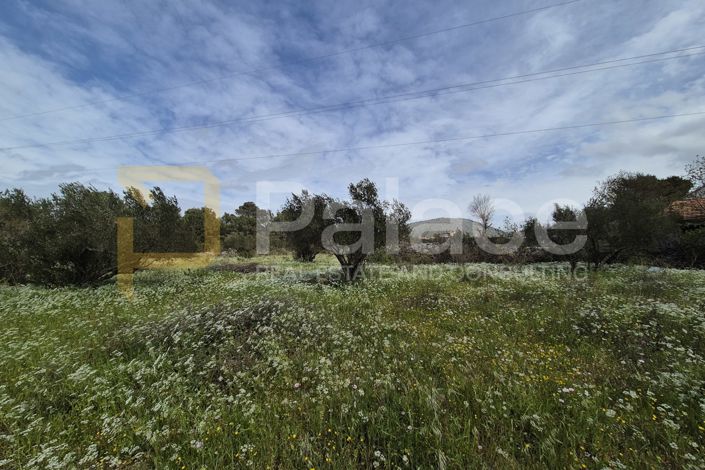 Image No.10-Plot for sale