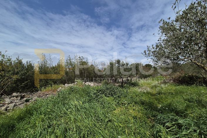 Image No.11-Plot for sale