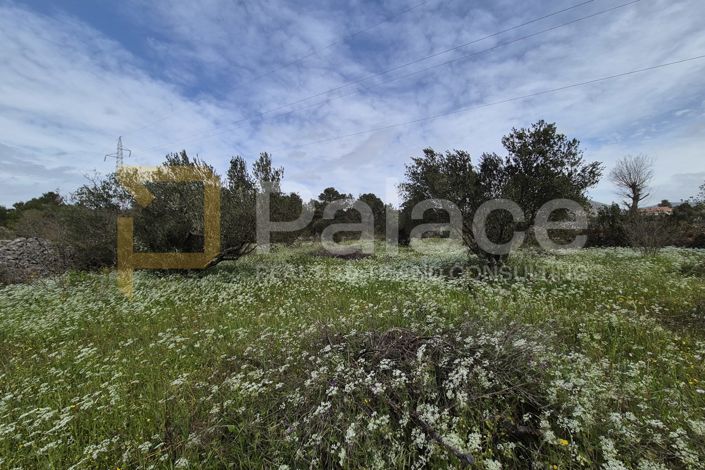 Image No.2-Plot for sale