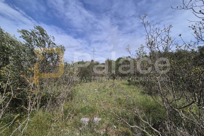 Image No.4-Plot for sale