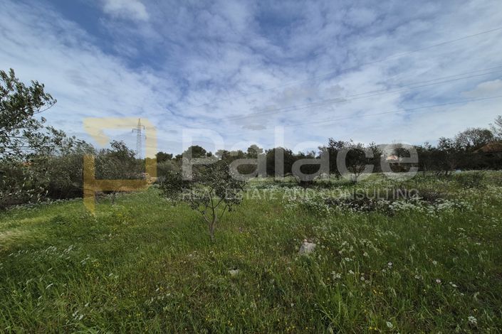 Image No.7-Plot for sale