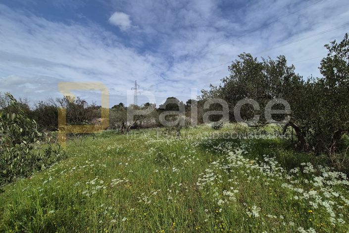 Image No.8-Plot for sale