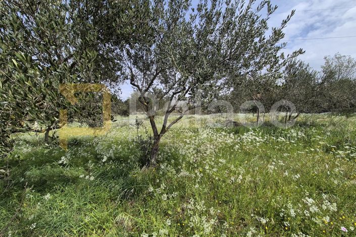 Image No.9-Plot for sale