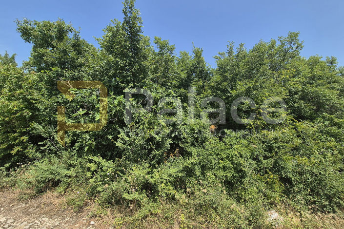 Image No.3-Land for sale