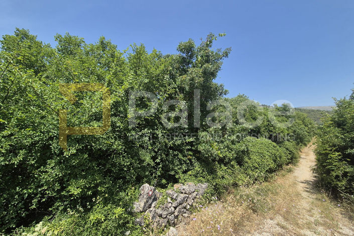 Image No.4-Land for sale