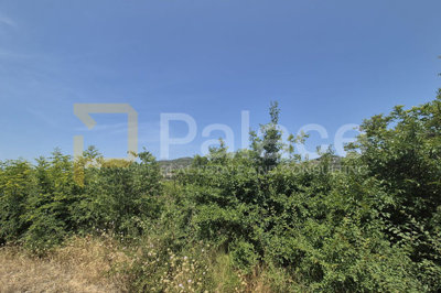 poljoprivredno-neobradjeno-zemljiste-2607-m2_5