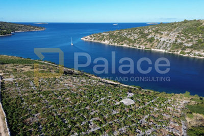 rodni-vinograd-uz-more-u-primostenu-bucavac-6305m2_1