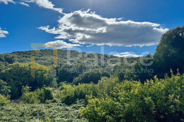 Image No.3-Plot for sale