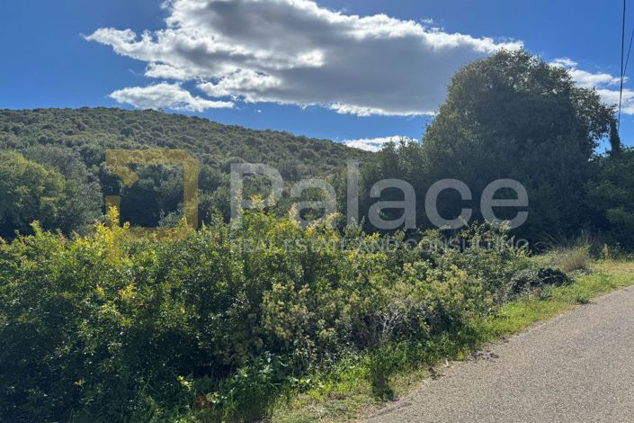 Image No.4-Plot for sale