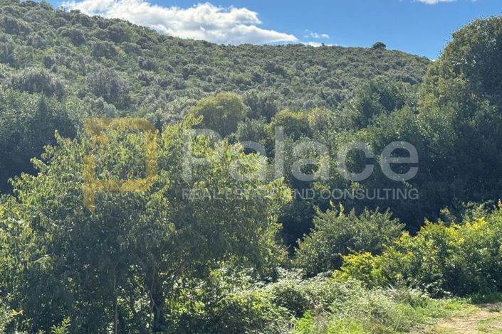 Image No.5-Plot for sale